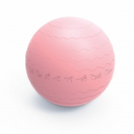 Pure Gym Ball